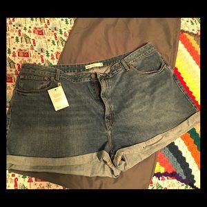 ASOS Curve Shorts Size 22
